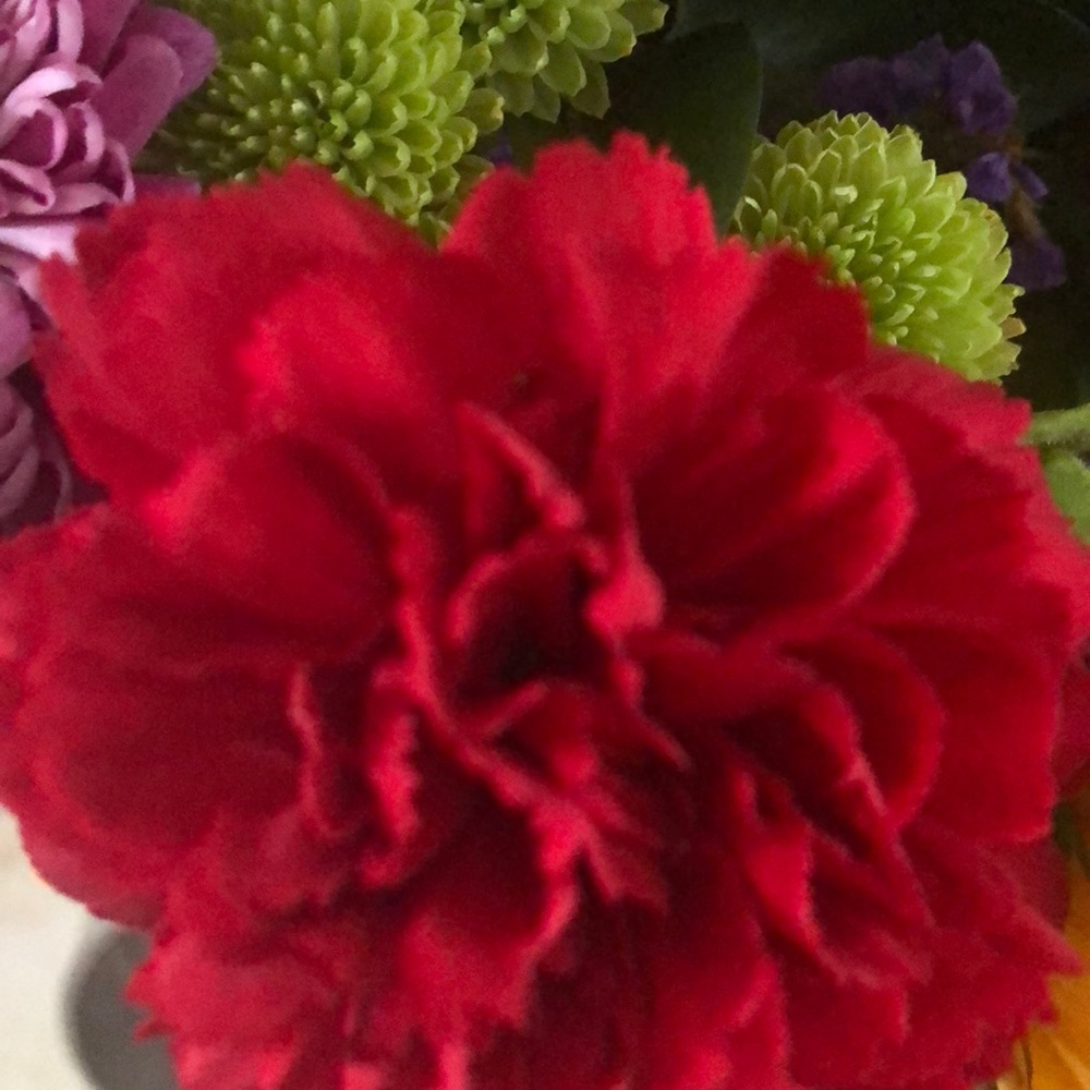 Meet your Posher, Cathy grammas